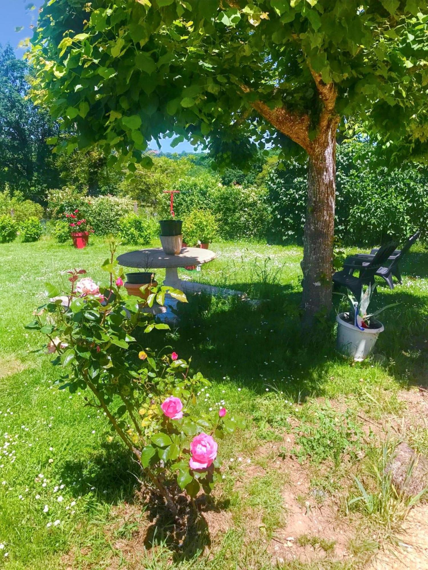 A Avec Jardin Et Terrasse 110 M² Apartment *
